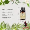 Lagunamoon Cajeput 10ML Pure Essential Oil Massage Diffuser Aroma Pine Needles Thyme Tangerine Black Pepper Clove Cypress Oil